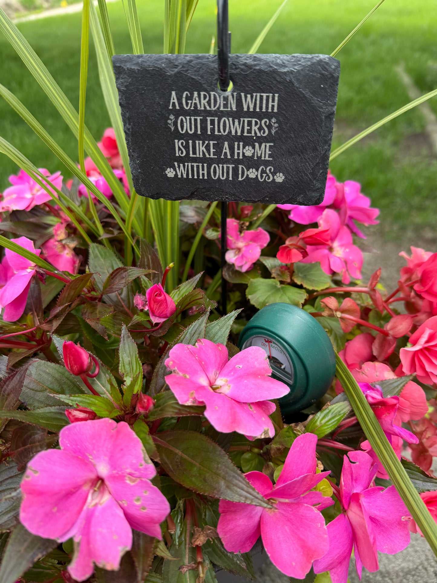 Garden flower custom sign with flowers in plant