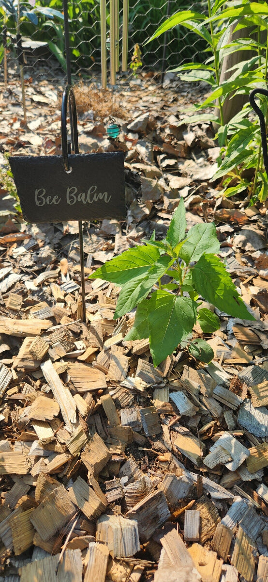 slate garden sign bee balim 