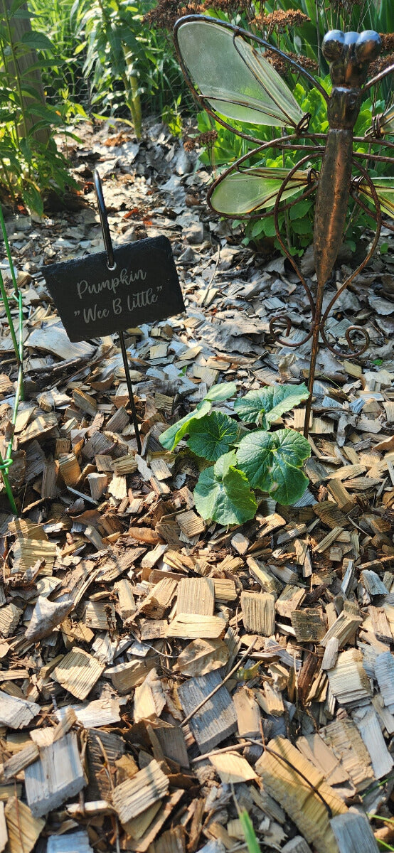 slate engraved garden sign in pumpkin patch 