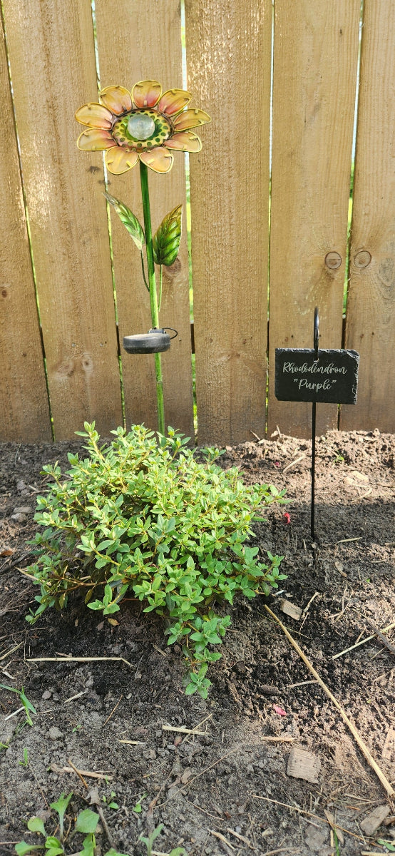 Slate engrave garden sign in garden purple label 